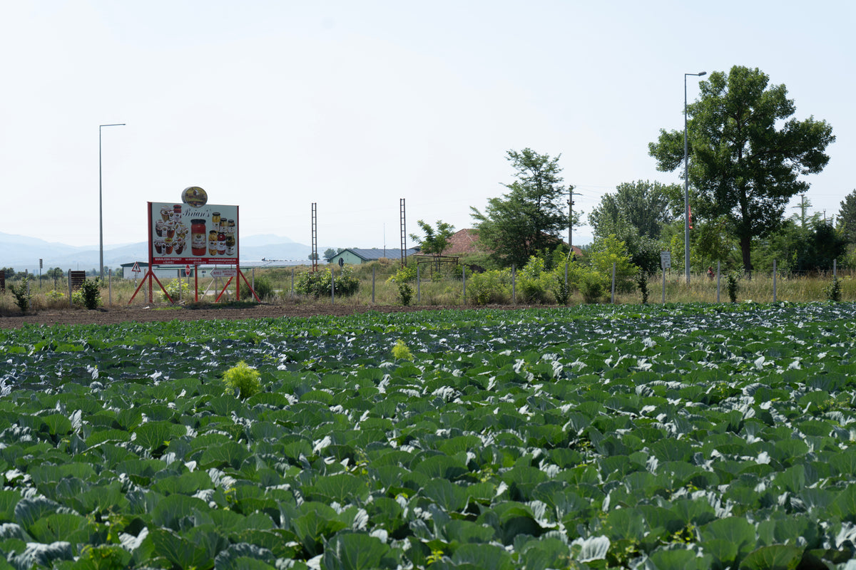 Farm fields with fresh ingredients